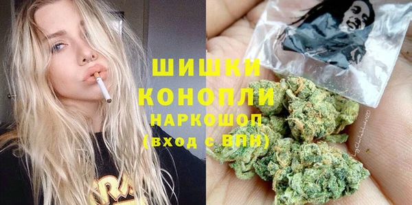 амф Инсар