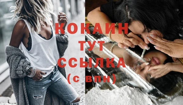 амф Инсар