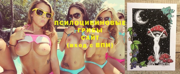 амф Инсар