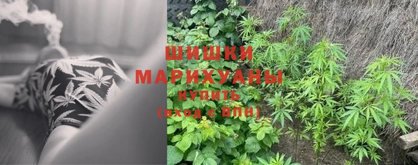 амф Инсар